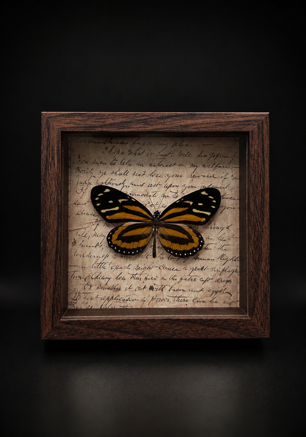 Preserved Specimens