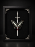 Blood Oath - Papilio demodocus