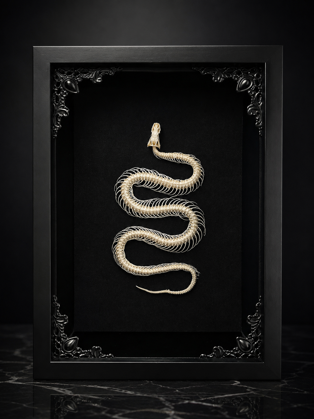 Snake Skeleton