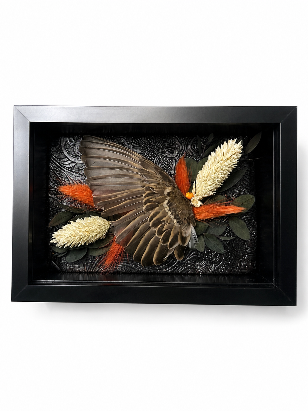 Ember Embrace - Preserved Wing